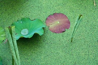 游戏玩家被Win11 2022更新坑了：N卡用户很受伤